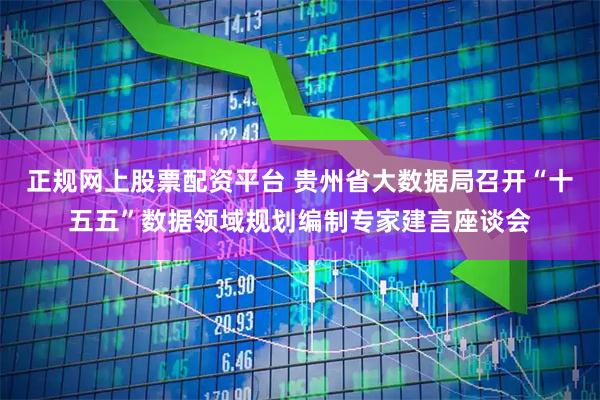 正规网上股票配资平台 贵州省大数据局召开“十五五”数据领域规划编制专家建言座谈会