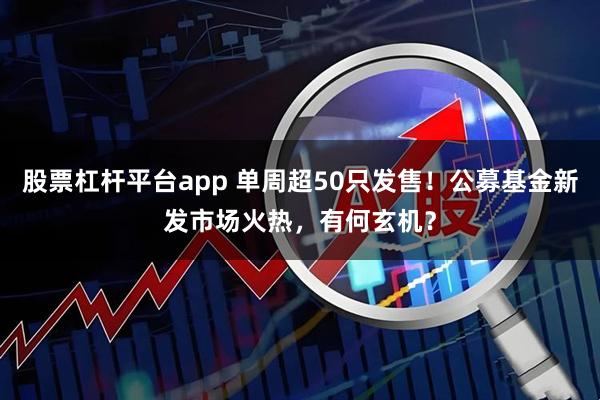 股票杠杆平台app 单周超50只发售！公募基金新发市场火热，有何玄机？